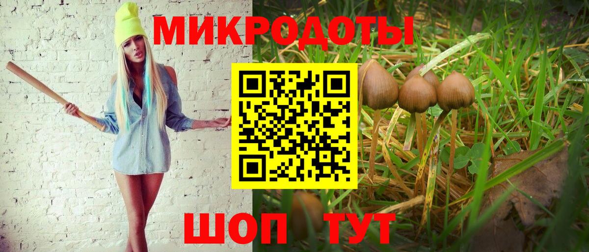 Мыски  Псилоцибиновые грибы GOLDEN TEACHER  Вход с VPN 