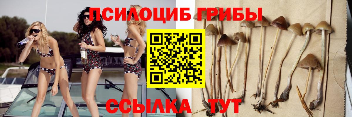 Галлюциногенные грибы прущие грибы Мыски